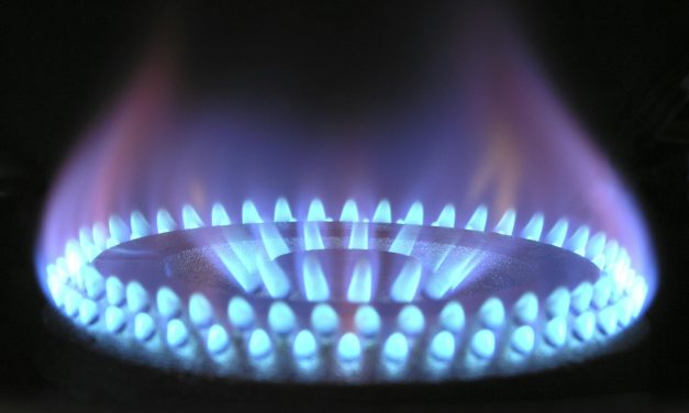 Business Community Opposes Proposed Gas Suspension for CNG Stations and Industries