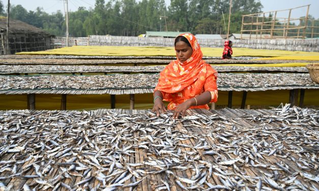 Unlocking Billions: The Untapped Potential of Pakistan’s Aquaculture Industry
