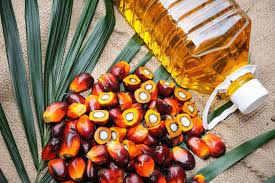 Palm Oil Set for Second Weekly Decline on Weak Soybean Prices and Demand Concerns