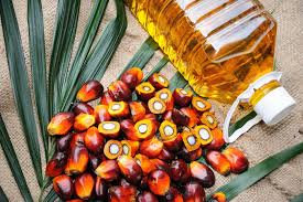 Malaysian Palm Oil Prices Rise, Tracking Chicago Soyoil; Export Data in Focus
