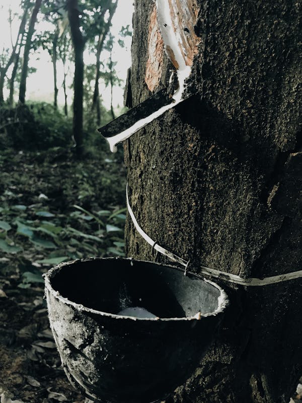 pexels-photo-9450008