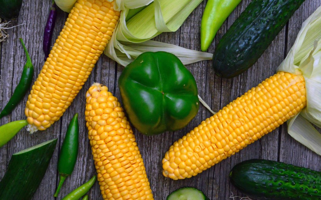 Algeria Procures South American Corn in Recent Tender